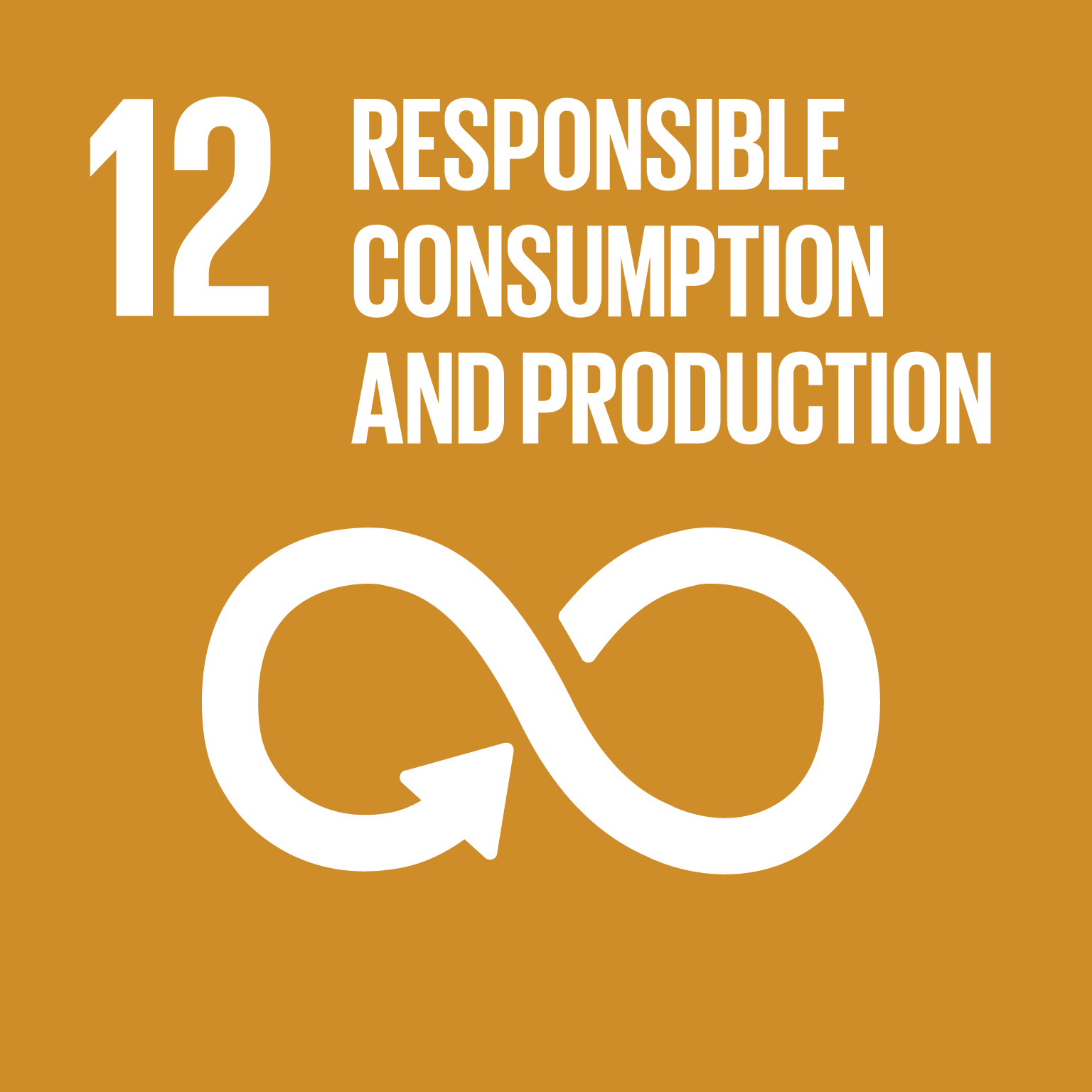 SDG 12 Icon